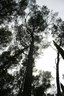 gal/cro 08/_thb_small-IMG_4681.JPG